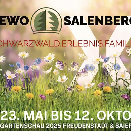 Fewo Salenberg Freudenstadt Exteriér fotografie